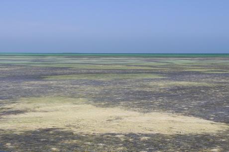 Que faire à Cuba Cuba_80_Cayo_Coco