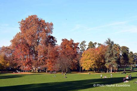 Un dimanche en photos DSC_5677.jpg