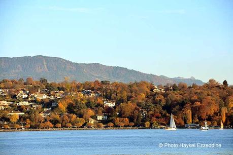 Un dimanche en photos DSC_5750.jpg