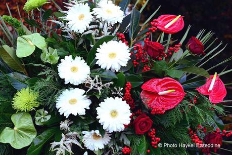 Un dimanche en photos DSC_5742.jpg