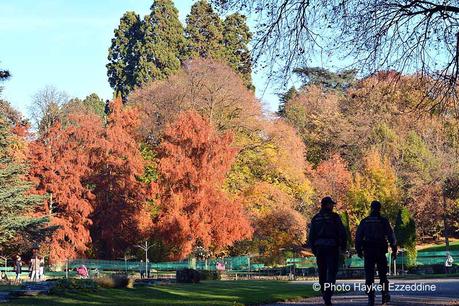 Un dimanche en photos DSC_5702.jpg