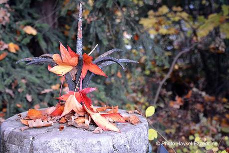 Un dimanche en photos DSC_5873.jpg