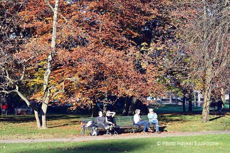 Un dimanche en photos DSC_5683.jpg