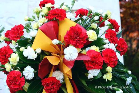 Un dimanche en photos DSC_5743.jpg