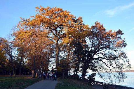 Un dimanche en photos DSC_5756.jpg