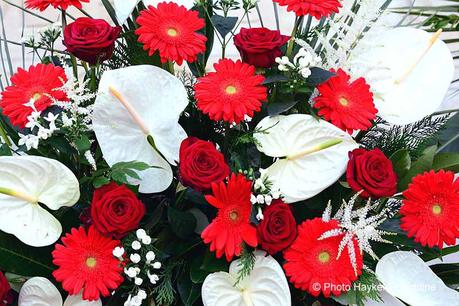 Un dimanche en photos DSC_5737.jpg