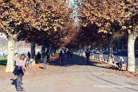 Un dimanche en photos DSC_5703.jpg