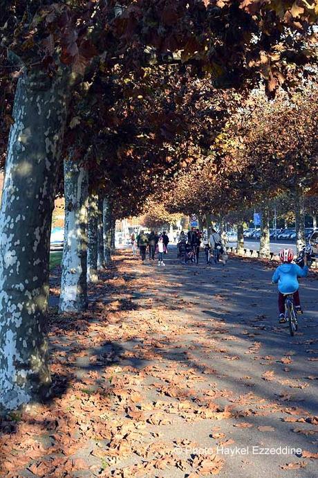 Un dimanche en photos DSC_5707.jpg