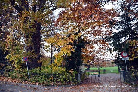 Un dimanche en photos DSC_5861.jpg