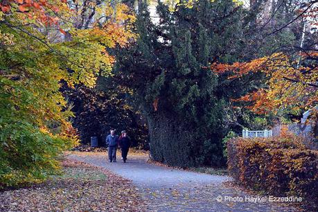 Un dimanche en photos DSC_5798.jpg