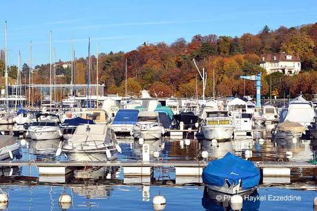 Un dimanche en photos DSC_5709.jpg