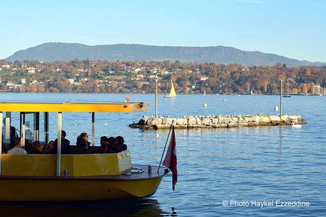 Un dimanche en photos DSC_5712.jpg