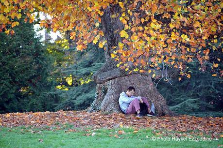 Un dimanche en photos DSC_5759.jpg