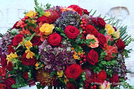 Un dimanche en photos DSC_5739.jpg