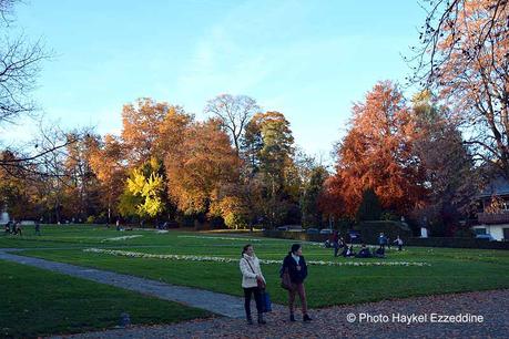 Un dimanche en photos DSC_5752.jpg