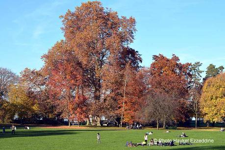 Un dimanche en photos DSC_5681.jpg