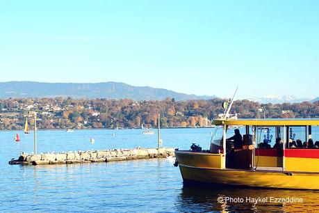 Un dimanche en photos DSC_5721.jpg