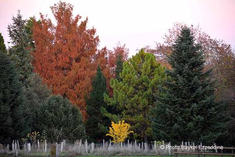 Un dimanche en photos DSC_5864.jpg