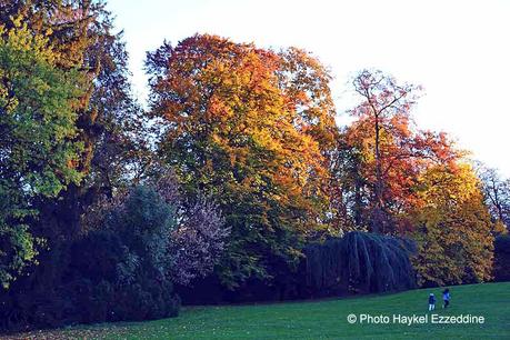 Un dimanche en photos DSC_5765.jpg