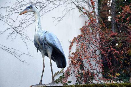 Un dimanche en photos DSC_5803.jpg