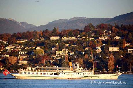 Un dimanche en photos DSC_5787.jpg