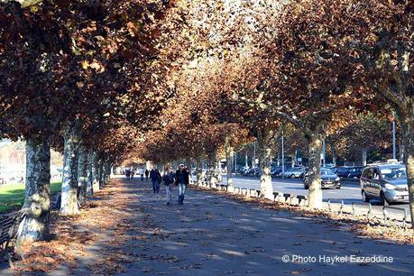 Un dimanche en photos DSC_5704.jpg