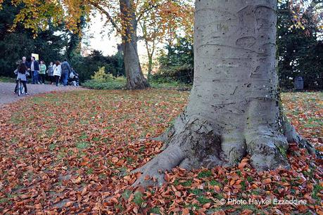 Un dimanche en photos DSC_5761.jpg