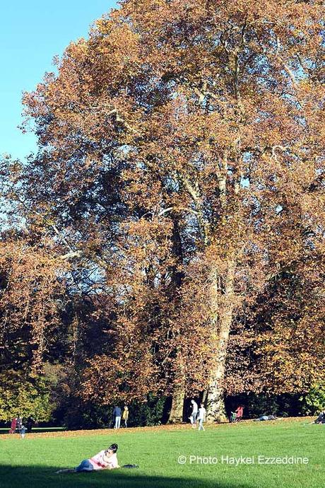 Un dimanche en photos DSC_5680.jpg