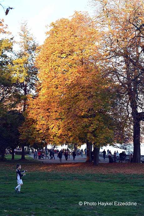 Un dimanche en photos DSC_5747.jpg