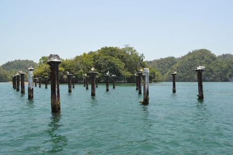 2 semaines en République Dominicaine 2 semaines en République Dominicaine