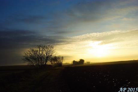 Nuages / Clouds Balade du dimanche matin / Sunday Morning Walk