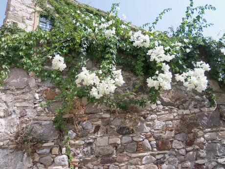 Kos - Ville gréco romaine Kos - Ville gréco romaine