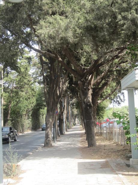 Kos - Ville gréco romaine Kos - Ville gréco romaine