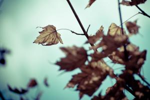 Novembre, je te hais Novembre, je te hais