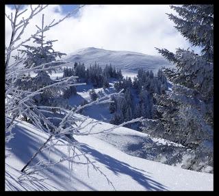En vogue cette année : le ski de randonnée nordique