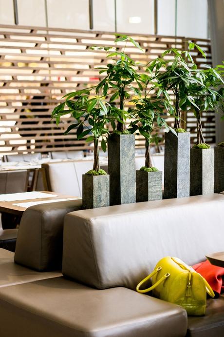 Fondation Louis Vuitton #empty IMGP3960