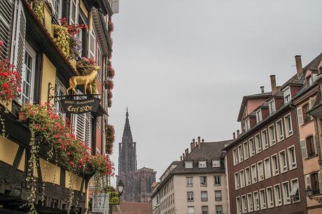 Strasbourg #3 : les derniers jolis endroits