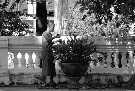 Issan, géant et crocodile de wat (photo) Issan, géant et crocodile de wat (photo)