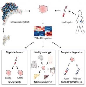 CANCER: Une seule goutte de sang pour identifier l'origine de la tumeur – Cancer Cell CANCER: Une seule goutte de sang pour identifier l'origine de la tumeur – Cancer Cell