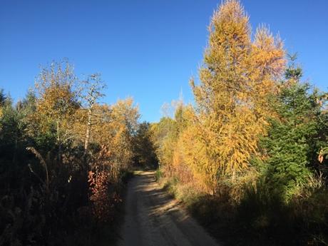 Images d'automne en Auvergne