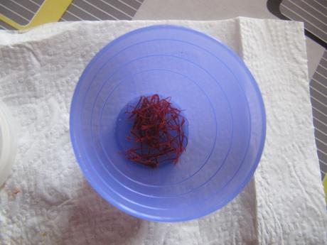 Cueillette des crocus à safran Cueillette des crocus à safran