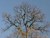 DSC01643_DxO DSC01643_DxO