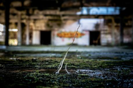 Le silence d'après atelier d'écriture Bric à book DSC_1409