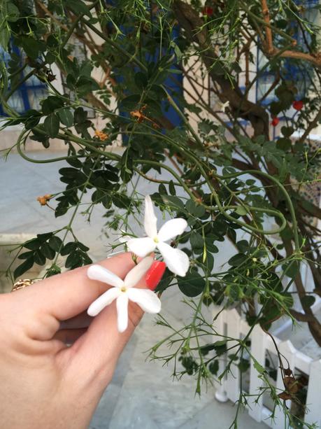 TUNISIE (PART ONE) : SIDI BOU SAÏD, LE PETIT PARADIS BLEU ET BLANC TUNISIE (PART ONE) : SIDI BOU SAÏD, LE PETIT PARADIS BLEU ET BLANC