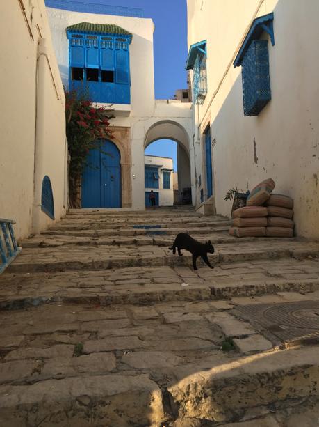 TUNISIE (PART ONE) : SIDI BOU SAÏD, LE PETIT PARADIS BLEU ET BLANC