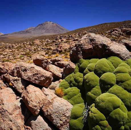 Bolivie : Les lieux à visiter lors de votre voyage photo 4-3