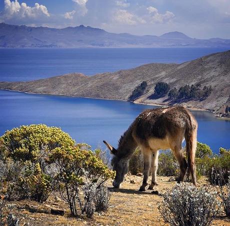 Bolivie : Les lieux à visiter lors de votre voyage photo 3-2