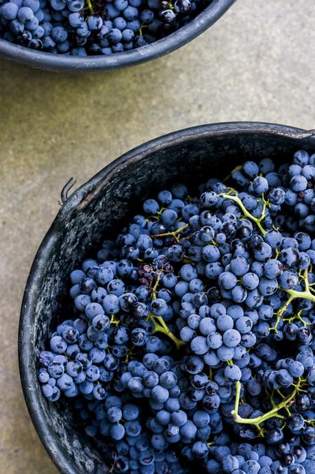 Le Luberon par les couleurs IMGP3571