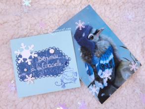 Bienvenue à la Citacielle ! (colis parti en traineau) colis Citacielle 04