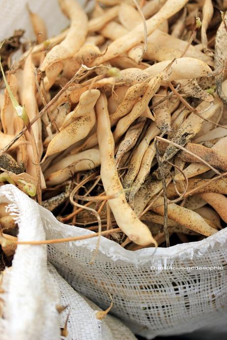 Velouté de haricots tarbais à la ventrèche Velouté de haricots tarbais à la ventrèche